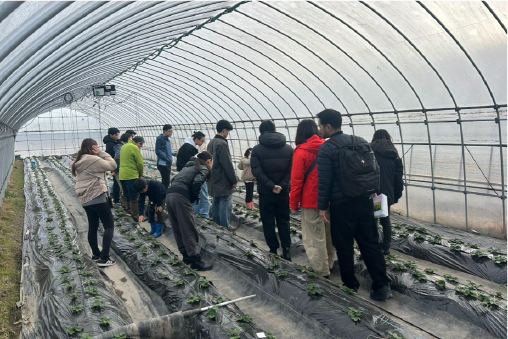 農業体験プログラム